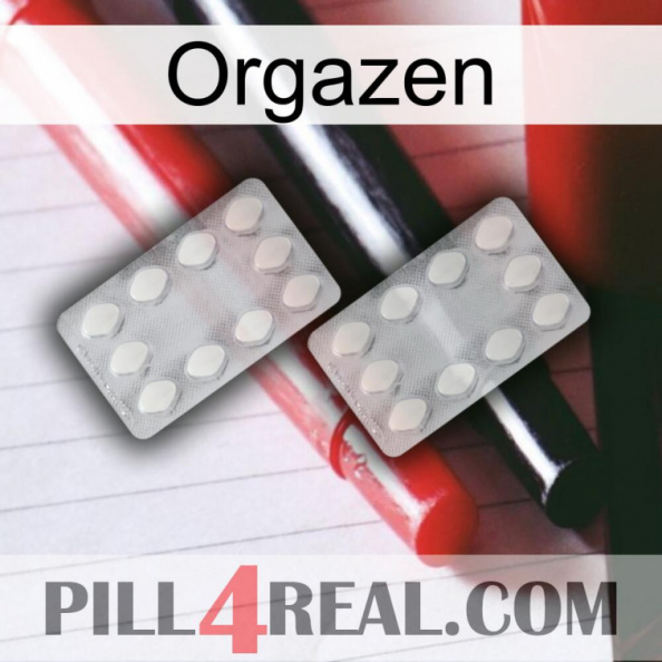 Orgazen 17.jpg